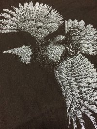 EAGLE PRIDE SHIRT - JAPAN EXCLUSIVE COLORWAY - D.BROWN