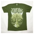 Photo2: BLACK OSPREY (Twin Osprey) SHIRT - GREEN COLORWAY (2)