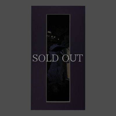 Photo5: COTTONWOOD DUSK