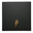Photo3: The Gilded Age Portfolio Box Set (3)