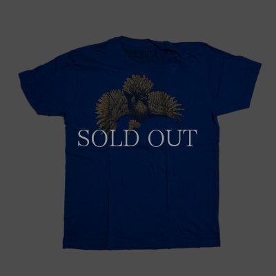 Photo1: GENERICA EAGLE PRIDE SHIRT