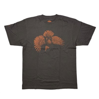 Photo1: EAGLE PRIDE SAMPLE SHIRT - CHARCOAL