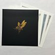 Photo1: The Gilded Age Portfolio Box Set (1)