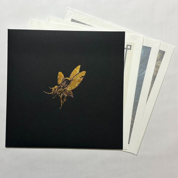 Photo1: The Gilded Age Portfolio Box Set (1)