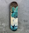 Photo1: Santa Cruz Skateboards - Stacey Lowery (Original) (1)