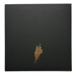 Photo3: The Gilded Age Portfolio Box Set (3)