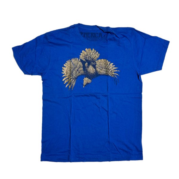 Photo1: GENERICA EAGLE PRIDE SHIRT (1)