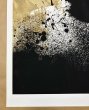 Photo5: Jacob Bannon - Jane Doe (5)